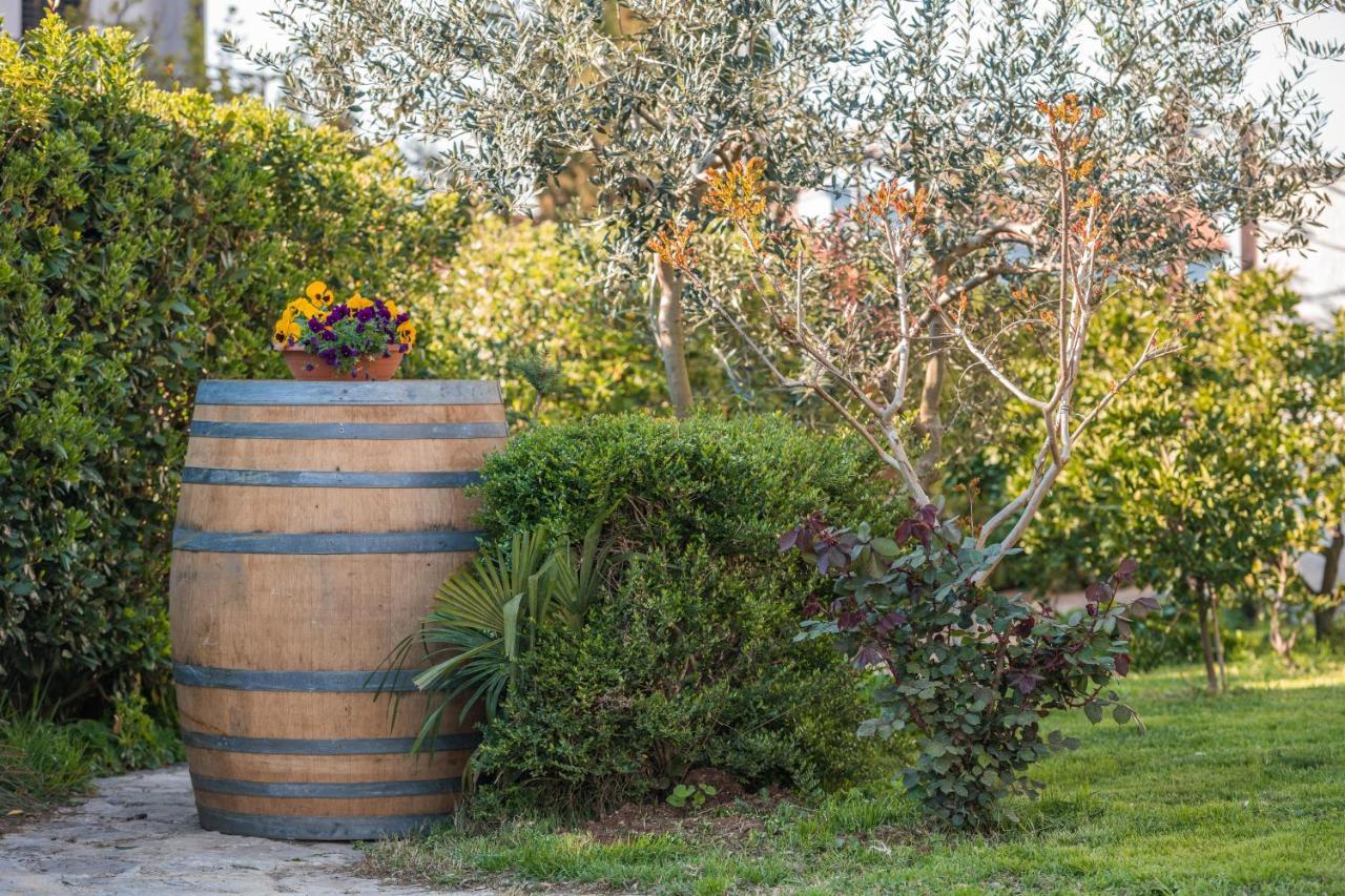 Wine Garden Holiday Home Пула Экстерьер фото